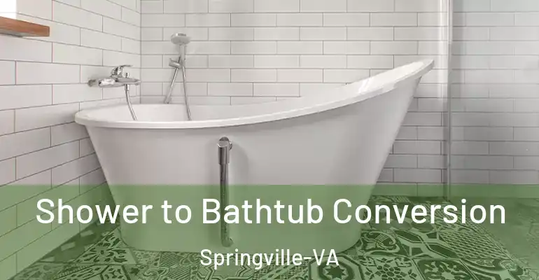 inner Bathroom imggen Shower to Bathtub Conversion Springville-VA
