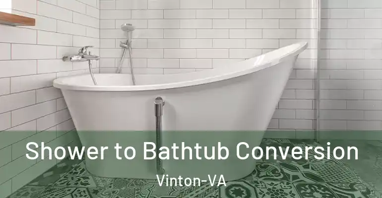 inner Bathroom imggen Shower to Bathtub Conversion Vinton-VA