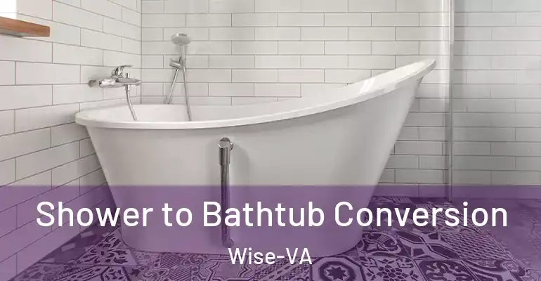 inner Bathroom imggen Shower to Bathtub Conversion Wise-VA