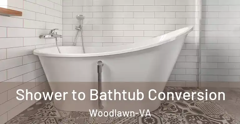 inner Bathroom imggen Shower to Bathtub Conversion Woodlawn-VA