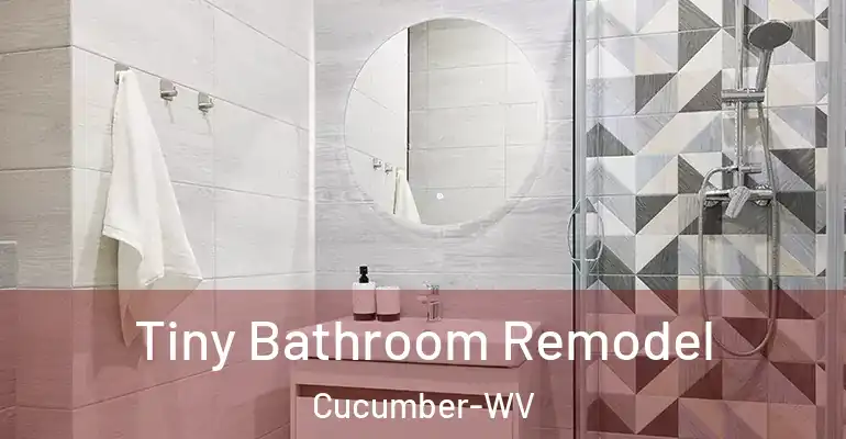 inner Bathroom imggen Tiny Bathroom Remodel Cucumber-WV