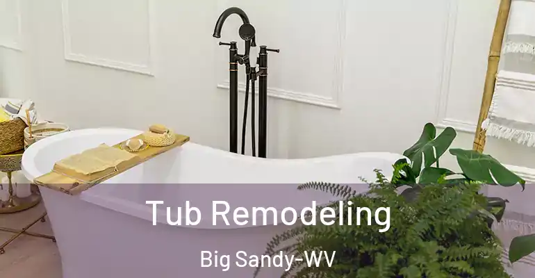 inner Bathroom imggen Tub Remodeling Big Sandy-WV