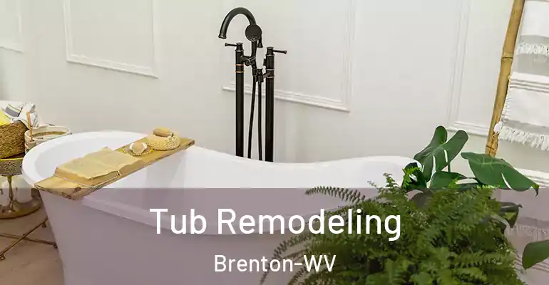 inner Bathroom imggen Tub Remodeling Brenton-WV