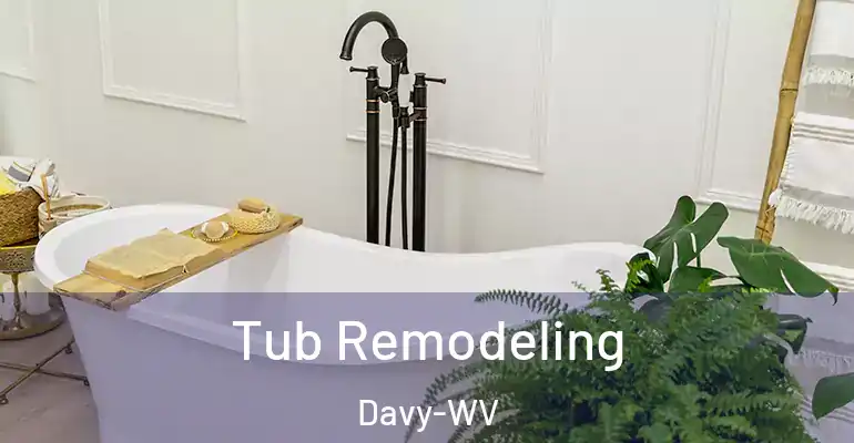inner Bathroom imggen Tub Remodeling Davy-WV