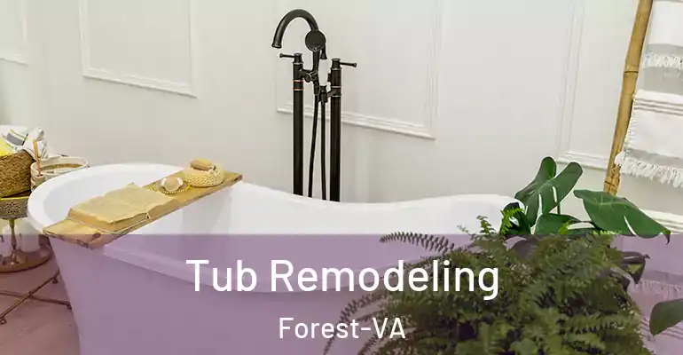 inner Bathroom imggen Tub Remodeling Forest-VA