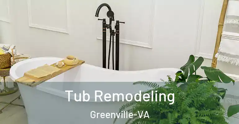 inner Bathroom imggen Tub Remodeling Greenville-VA