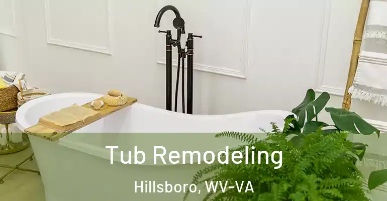 inner Bathroom imggen Tub Remodeling Hillsboro, WV-VA