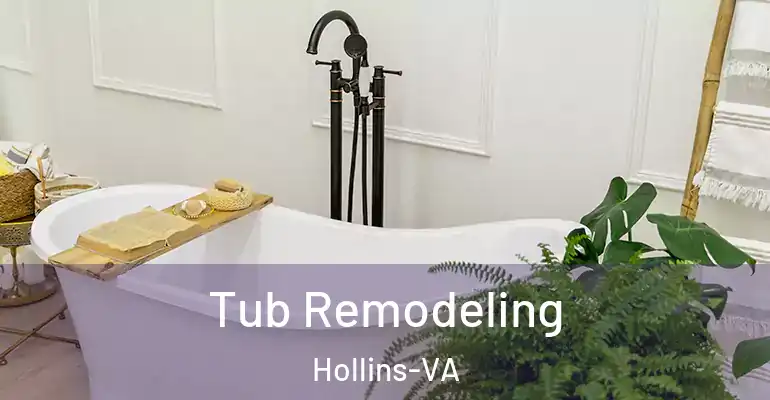 inner Bathroom imggen Tub Remodeling Hollins-VA