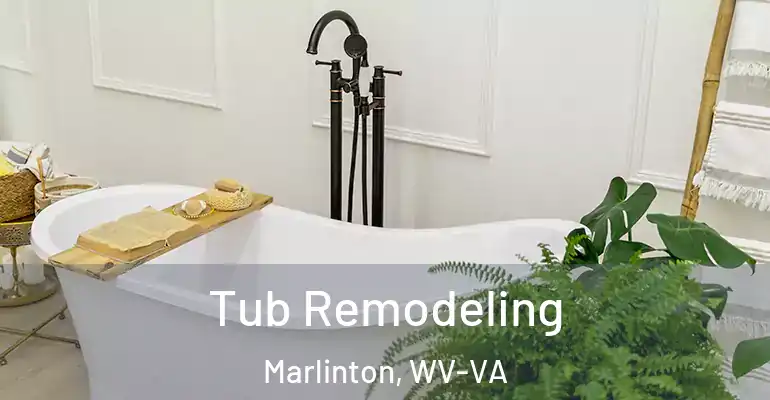 inner Bathroom imggen Tub Remodeling Marlinton, WV-VA