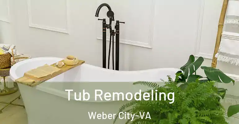 inner Bathroom imggen Tub Remodeling Weber City-VA