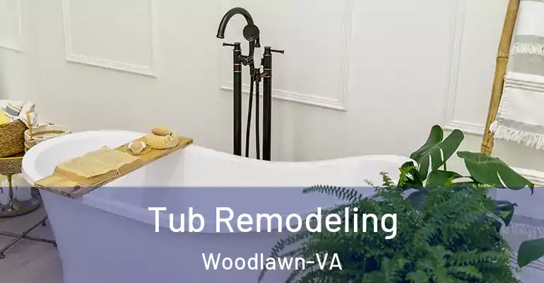 inner Bathroom imggen Tub Remodeling Woodlawn-VA