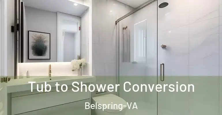 inner Bathroom imggen Tub to Shower Conversion Belspring-VA