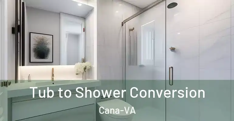inner Bathroom imggen Tub to Shower Conversion Cana-VA