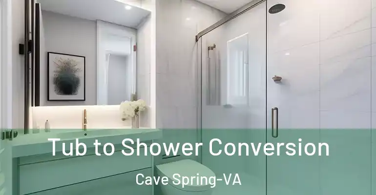 inner Bathroom imggen Tub to Shower Conversion Cave Spring-VA