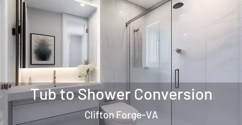 inner Bathroom imggen Tub to Shower Conversion Clifton Forge-VA