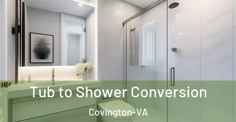 inner Bathroom imggen Tub to Shower Conversion Covington-VA