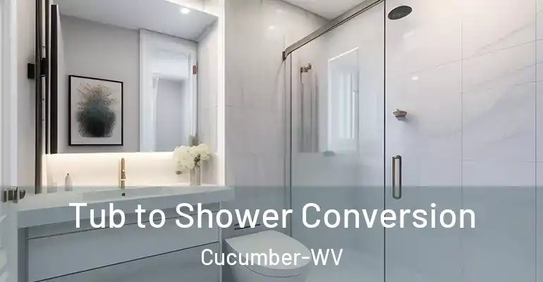 inner Bathroom imggen Tub to Shower Conversion Cucumber-WV