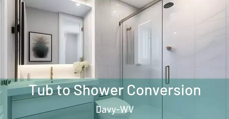 inner Bathroom imggen Tub to Shower Conversion Davy-WV