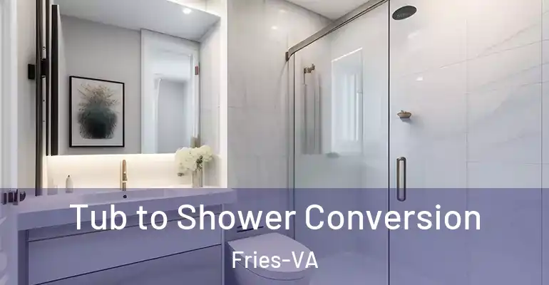 inner Bathroom imggen Tub to Shower Conversion Fries-VA