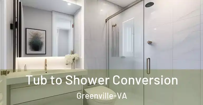 inner Bathroom imggen Tub to Shower Conversion Greenville-VA