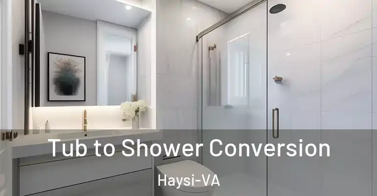inner Bathroom imggen Tub to Shower Conversion Haysi-VA