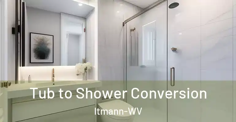 inner Bathroom imggen Tub to Shower Conversion Itmann-WV