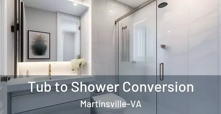 inner Bathroom imggen Tub to Shower Conversion Martinsville-VA
