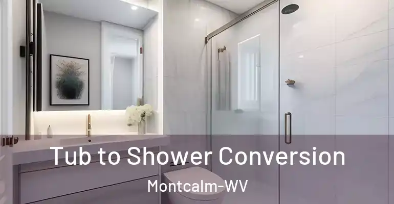 inner Bathroom imggen Tub to Shower Conversion Montcalm-WV