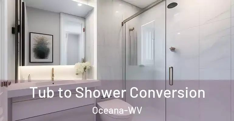 inner Bathroom imggen Tub to Shower Conversion Oceana-WV
