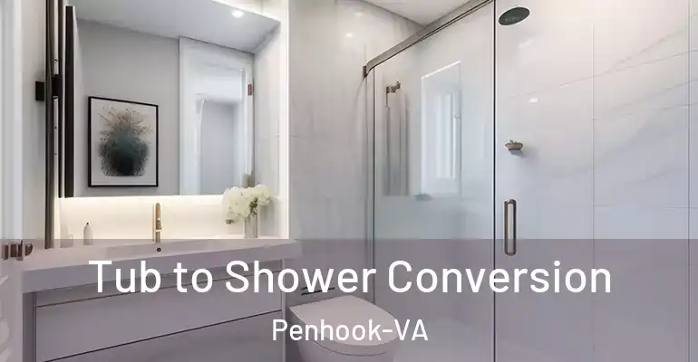 inner Bathroom imggen Tub to Shower Conversion Penhook-VA