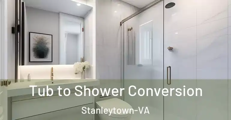 inner Bathroom imggen Tub to Shower Conversion Stanleytown-VA