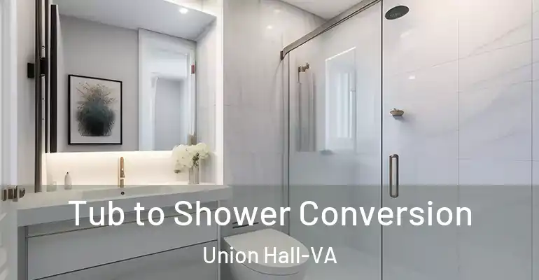 inner Bathroom imggen Tub to Shower Conversion Union Hall-VA