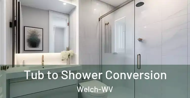 inner Bathroom imggen Tub to Shower Conversion Welch-WV