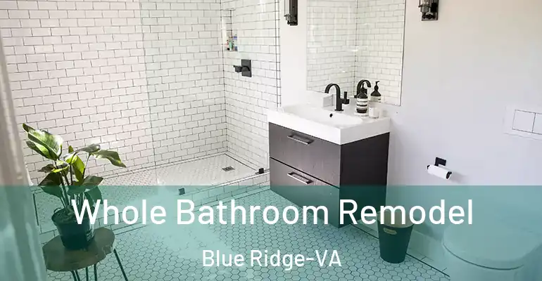 inner Bathroom imggen Whole Bathroom Remodel Blue Ridge-VA