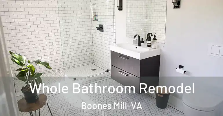 inner Bathroom imggen Whole Bathroom Remodel Boones Mill-VA