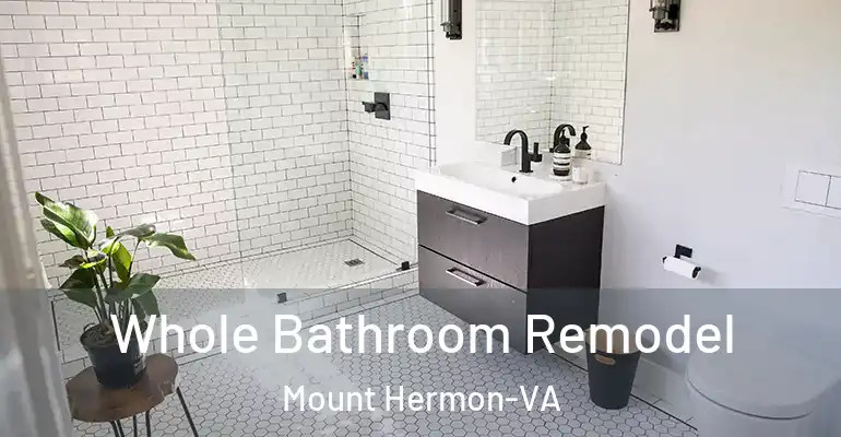 inner Bathroom imggen Whole Bathroom Remodel Mount Hermon-VA