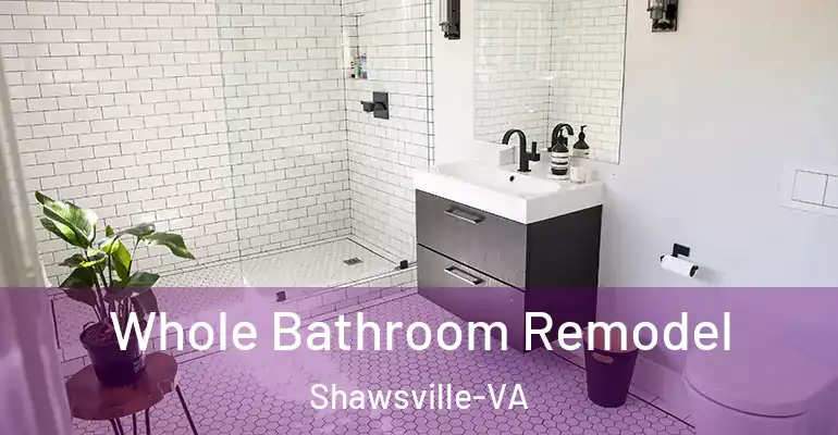 inner Bathroom imggen Whole Bathroom Remodel Shawsville-VA